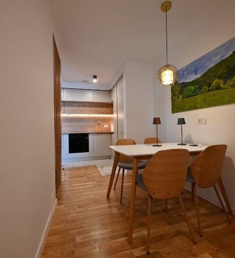 Direct Proprietar | Loft 2 nivele zona Tineretului/Unirii - Poză 6