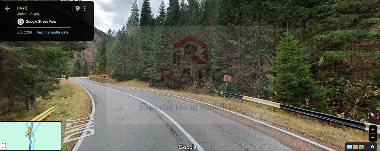 TEREN EXTRAVILAN PADURE PISCUL NEGRU ARGES - Poză 1