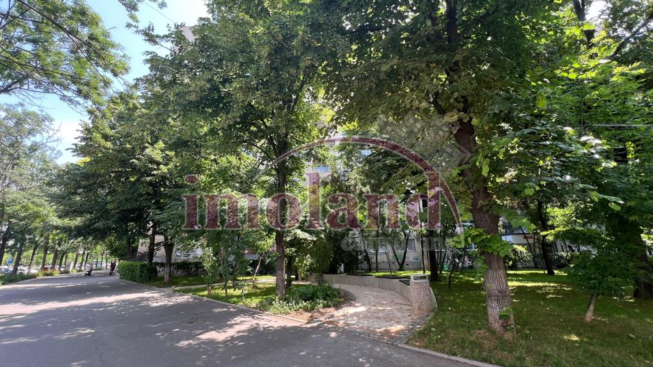 Apartament 2 camere - prima inchiriere - Drumul Taberei - Poză 12