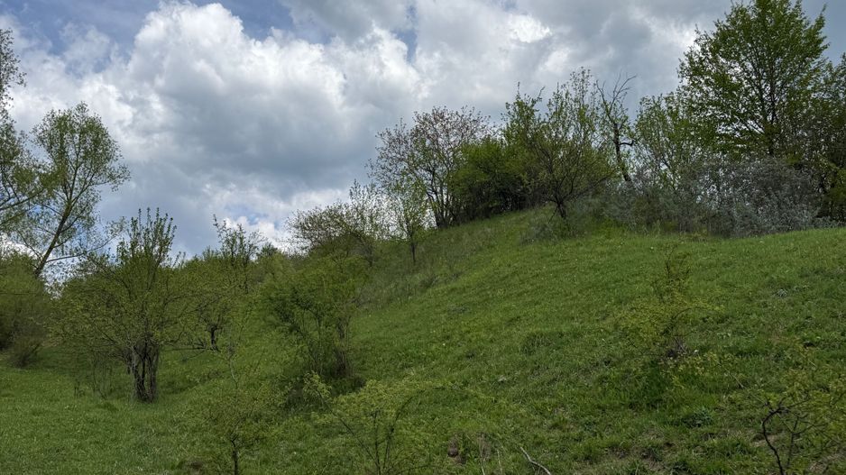 Teren intravilan 2440mp cu autorizație de construire și proiect ! - Poză 12