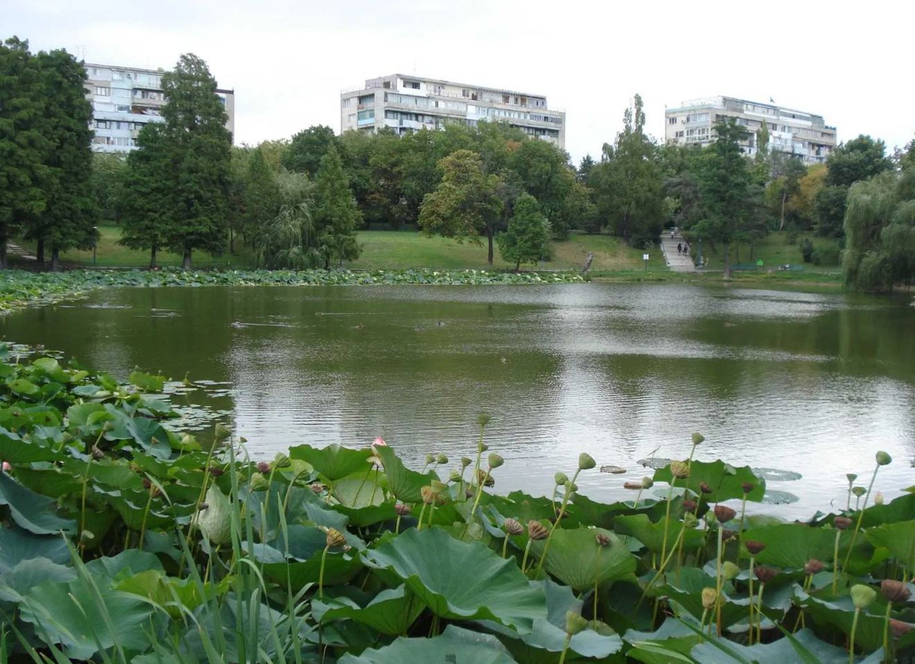 AP. 3 CAMERE- PARCUL CIRCULUI, PET-FRIENDLY,  BLOC REABILITAT, MODERN - Poză 7