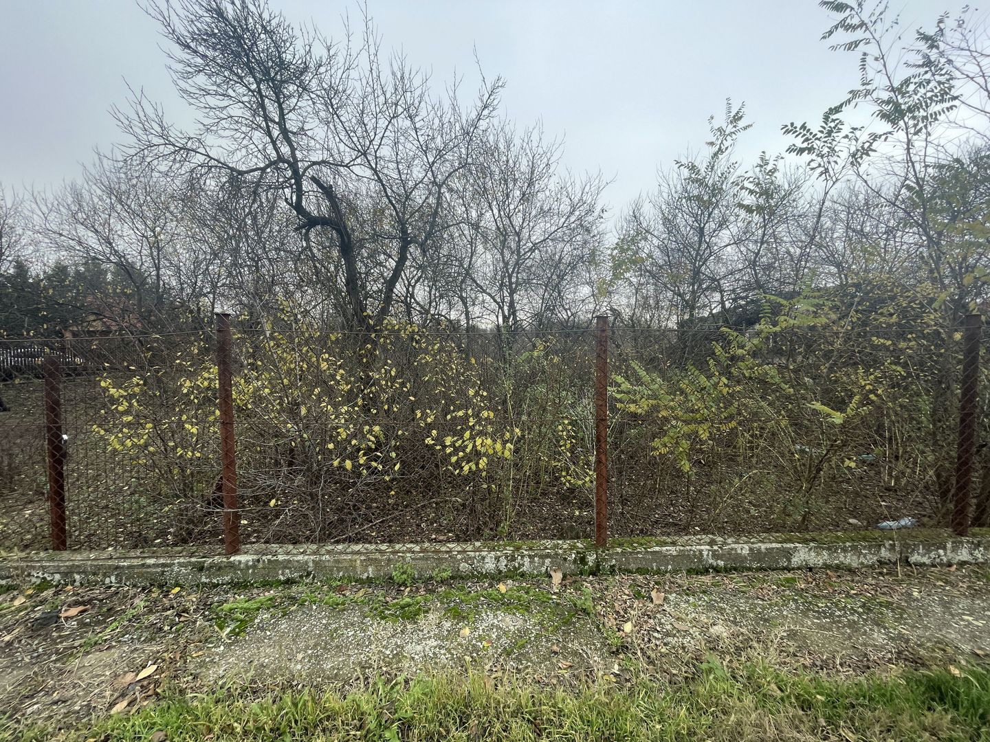 Teren in suprafata de 2165 mp cu front de 30 ml - Poză 7