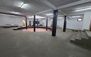 Spatiu Comercial si Apartament Zona Cetate, 1143mp Construiti - Poză 7