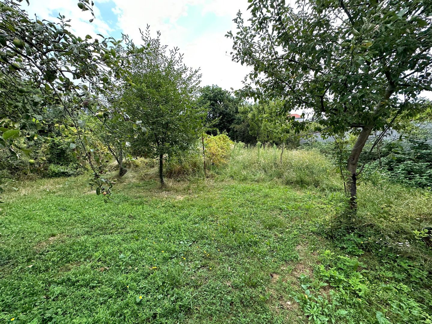 Casa zona Bălcescu teren 1082 mp - Poză 3