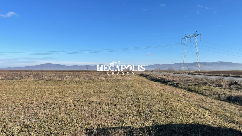 TEREN | INTRAVILAN | CARTIER IZVOR - Poză 4