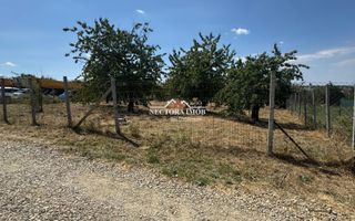 NECTORA IMOB-Teren INTRAVILAN 1000 mp, Zona PALEU, Utilitati incluse - Poză 6