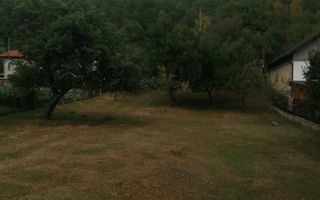 Teren Intravilan 10.000 mp | Livadă + Pădure de salcâm | Bărbătești - Poză 2