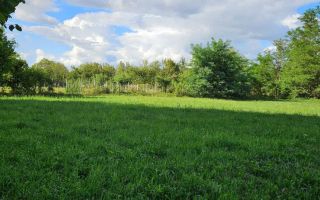 Teren Intravilan Valea Avrigului- 839 mp-Raul in fata terenului - Poză 4