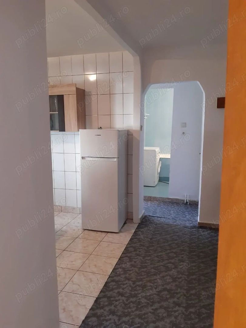 De inchiriat apartament 2 camere zona Teiul Doamne - Poză 4