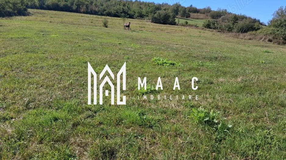 Teren | 3.600 mp | Ariușd | Lângă Olt | 25 km de Brașov - Poză 1
