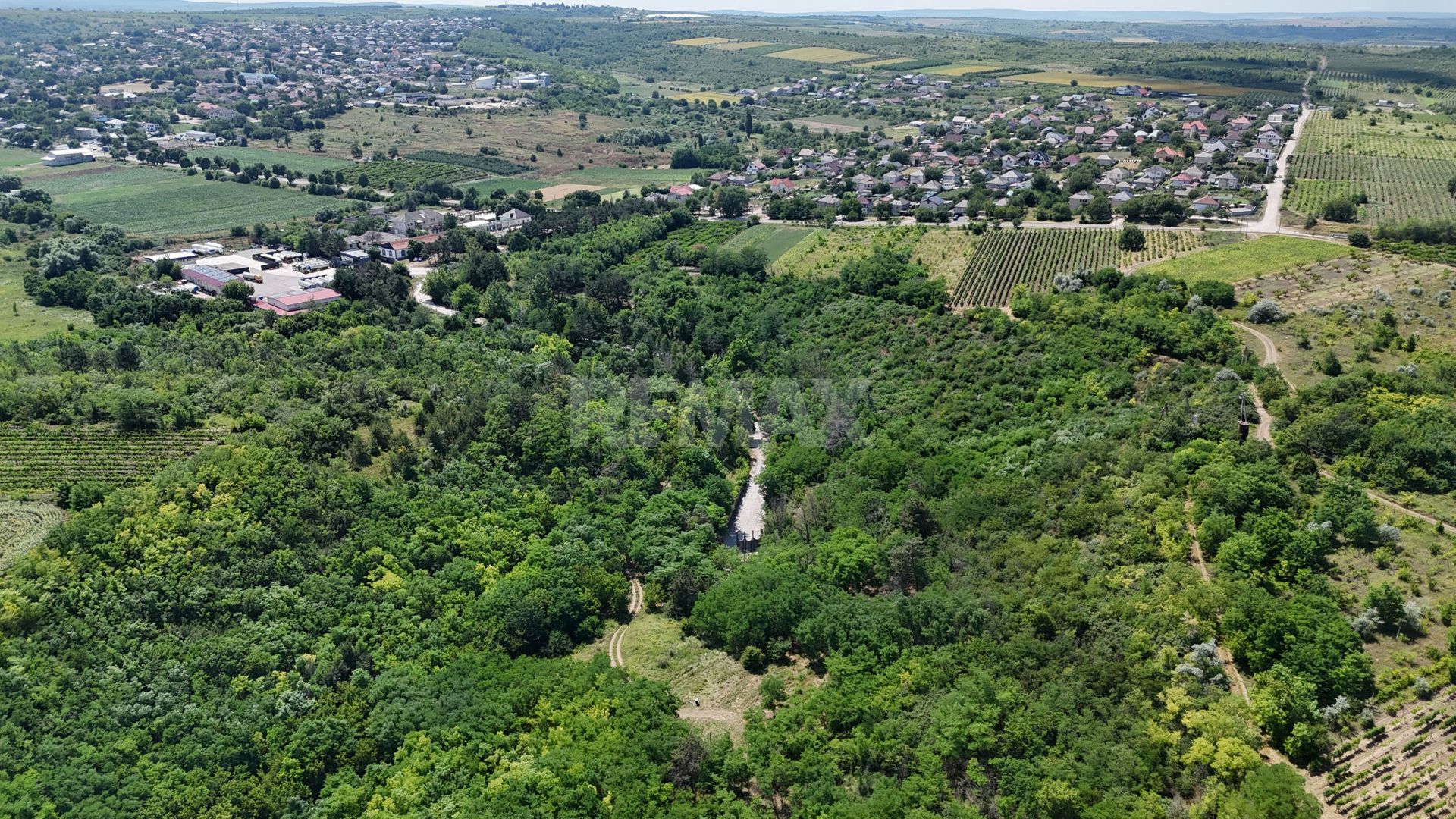 Teren de 37.5 ari în inima pădurii – Oportunitate unică de investiție lângă Crama Mileștii Mici! - Poză 4