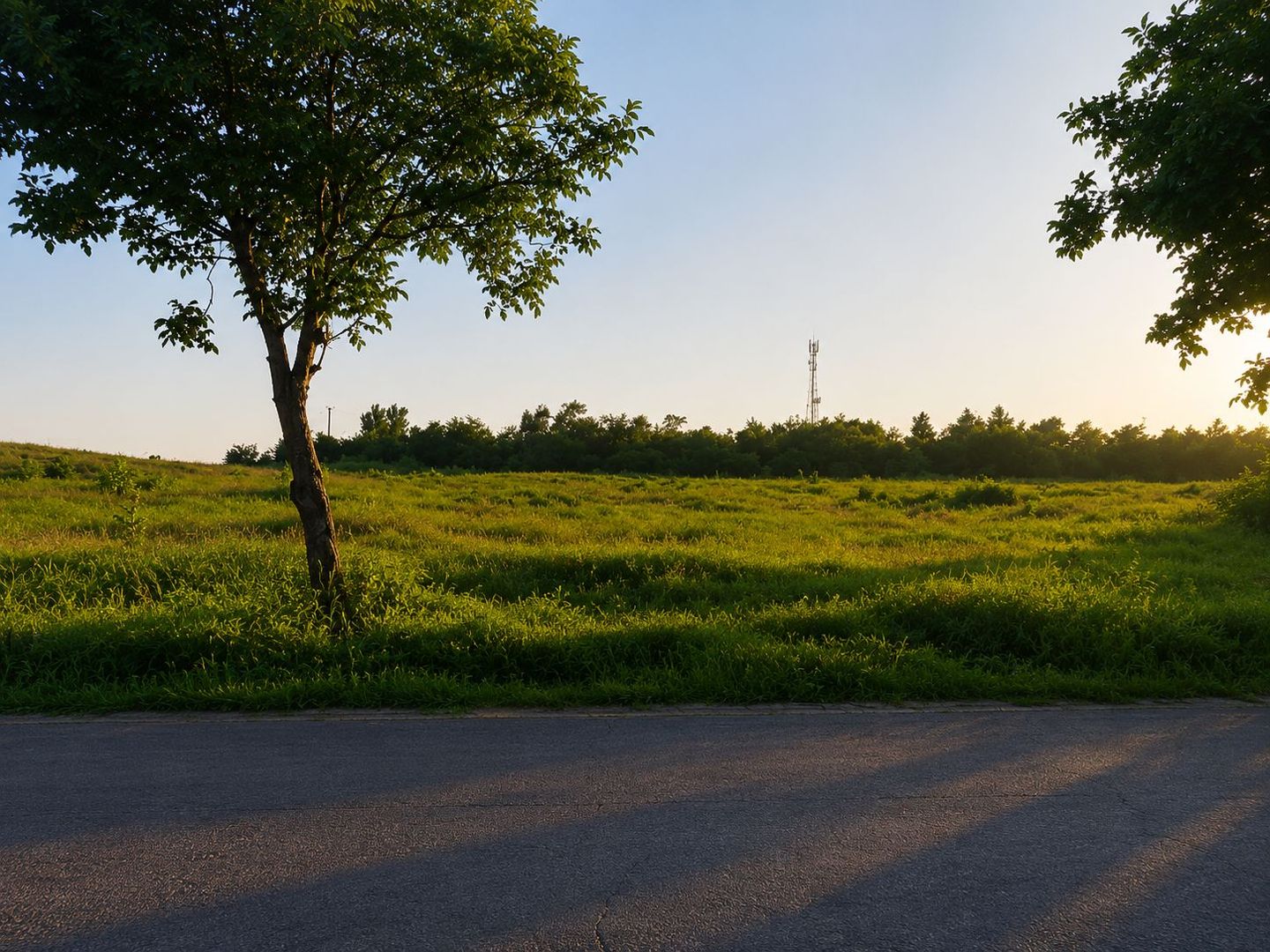 Vânzare teren intravilan – 9.500 mp, DN26 -Padurea Garboavele, Tulucesti - Poză 2