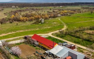 Casă modernă (2021) – Priveliște panoramică spre Lunca Mureșului - Poză 1