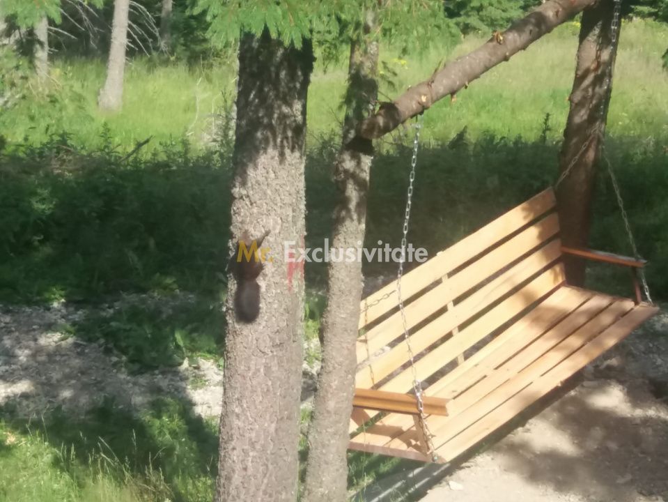 Cabană în Rânca cu 500 mp teren și panoramă impresionantă - Poză 8