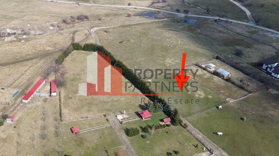 Teren intravilan 1.495 mp | Bran- Tohanul Nou | Vedere Bucegi | Deschidere 45 m - Poză 4