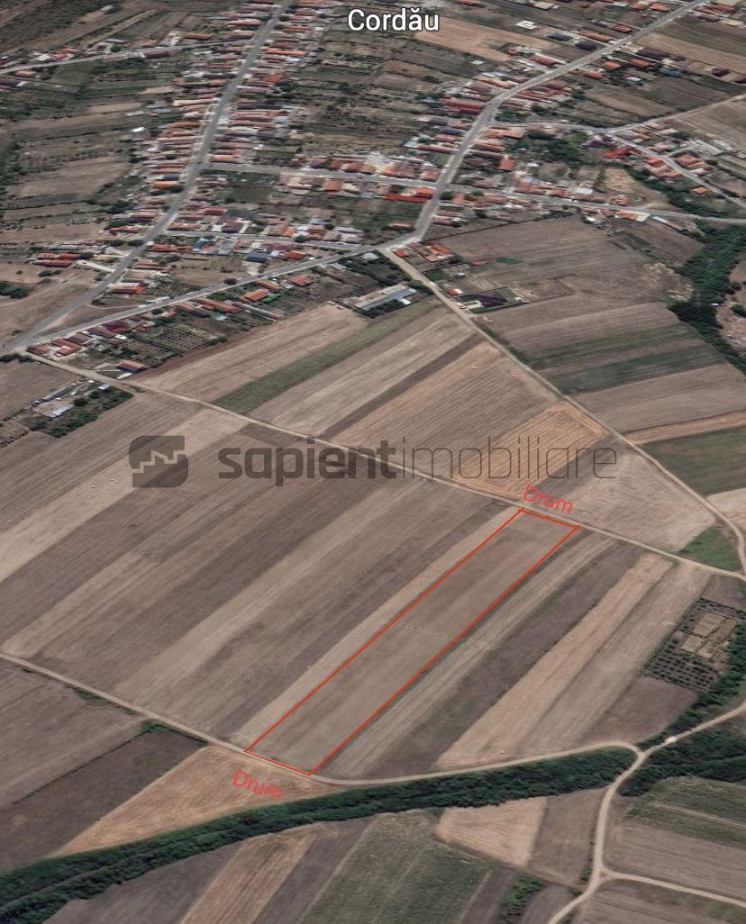 Sapient | Teren intravilan Cordau - Poză 3