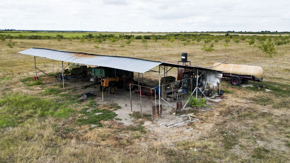 Livadă BIO de nuci de vânzare lângă Cermei - Poză 6