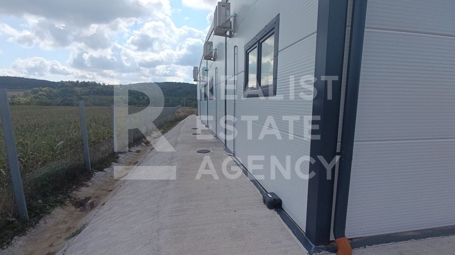 Spațiu comercial, producere+plantație de aronie, Timiș - Poză 3