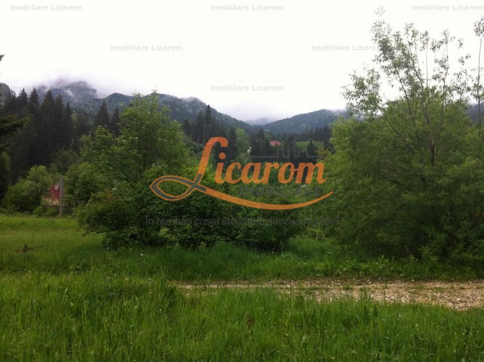 Teren intravilan Cotul Donului,pretabil Hotel/pensiune. - Poză 3