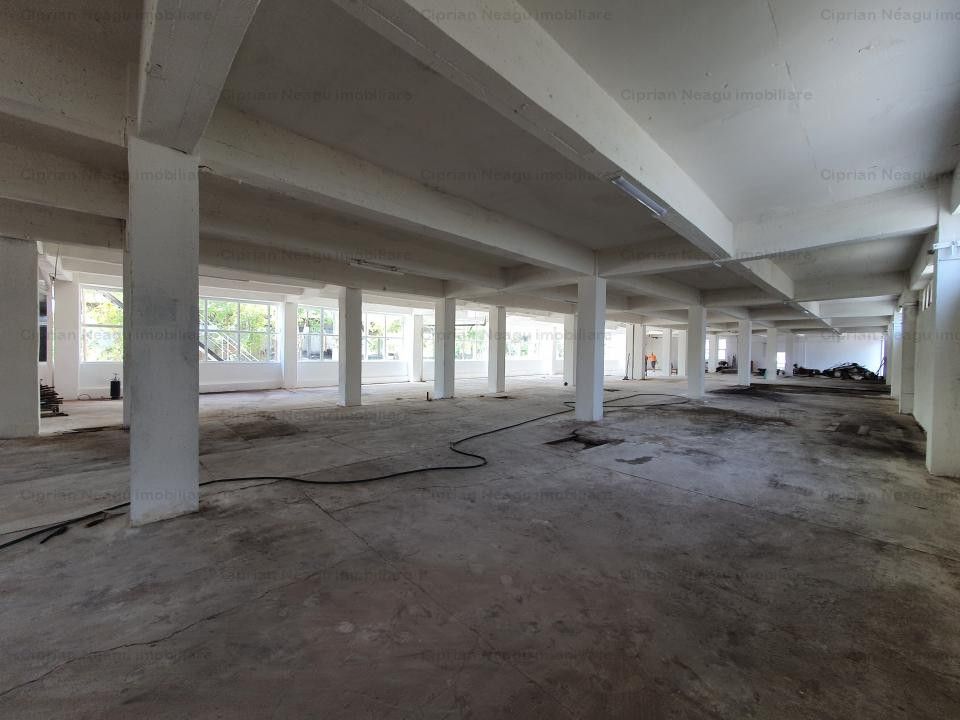 Hala Depozitare de Inchiriat Pitesti - Poză 3