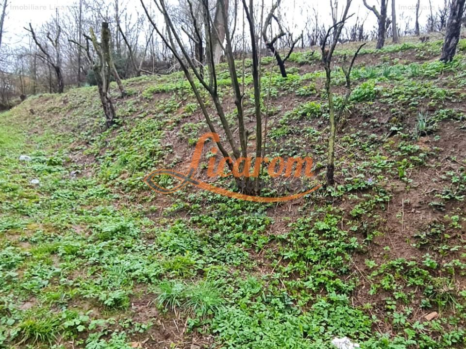 Teren intravilan1291 mp Schei Str Nisipului iesire la Drumul Poienii - Poză 9