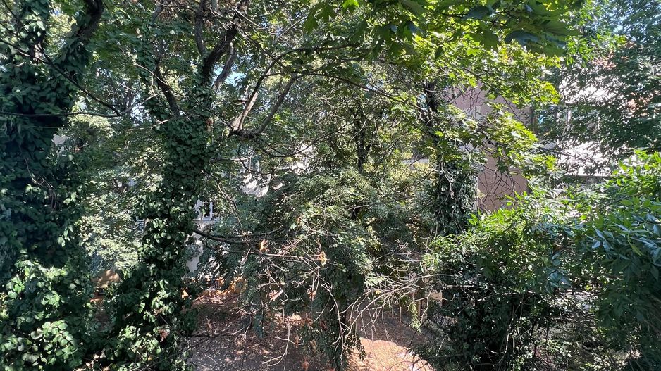 Apartament 2 camere Floreasca Garibaldi - Poză 11