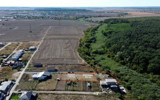 Terenuri – Dumbrăveni, Balotești, Ilfov - Poză 2