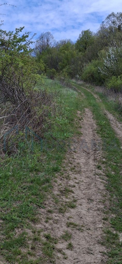 Teren extravilan de vanzare, Bucium, Iasi - Str. Boiangiu, vizavi de Carter Vile Teh Construct - Poză 1