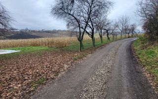 TEREN MOARA I SUCEAVA I LOC DE CASA I 20Ari I 60,000Euro - Poză 5