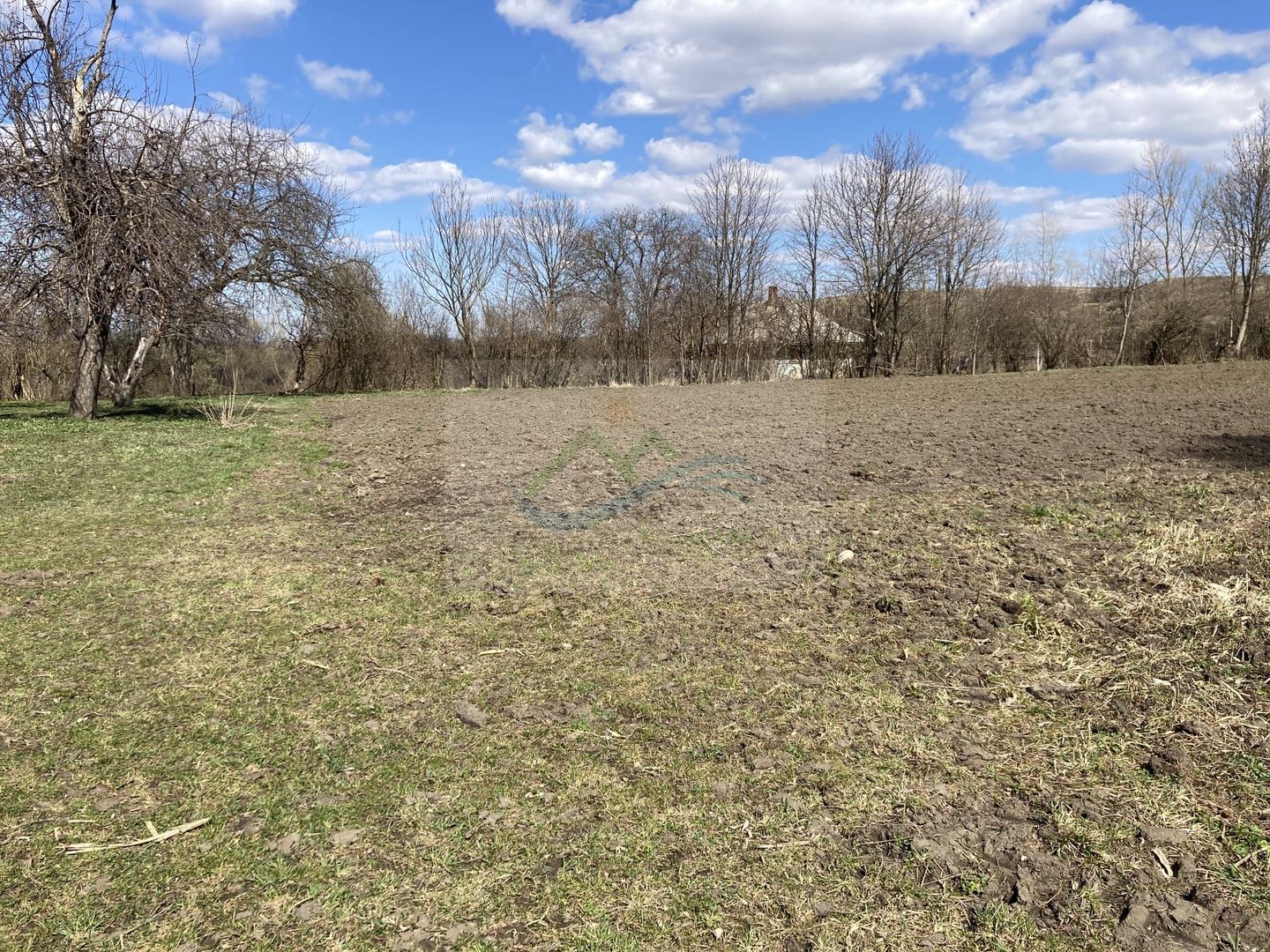 Teren Intravilan 3200 mp de vânzare - Poză 12