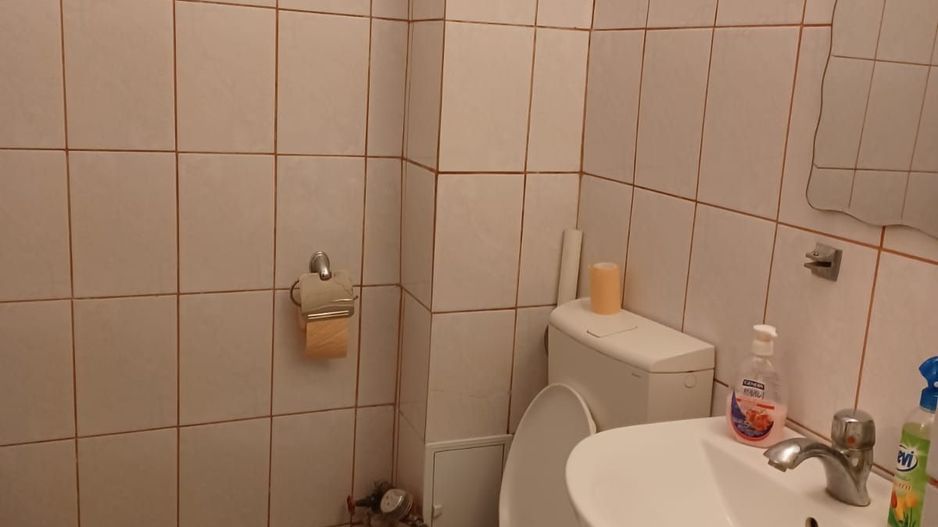 Garsoniera / Spatiu comercial de inchiriat - Tiglina 1, parter - Poză 4