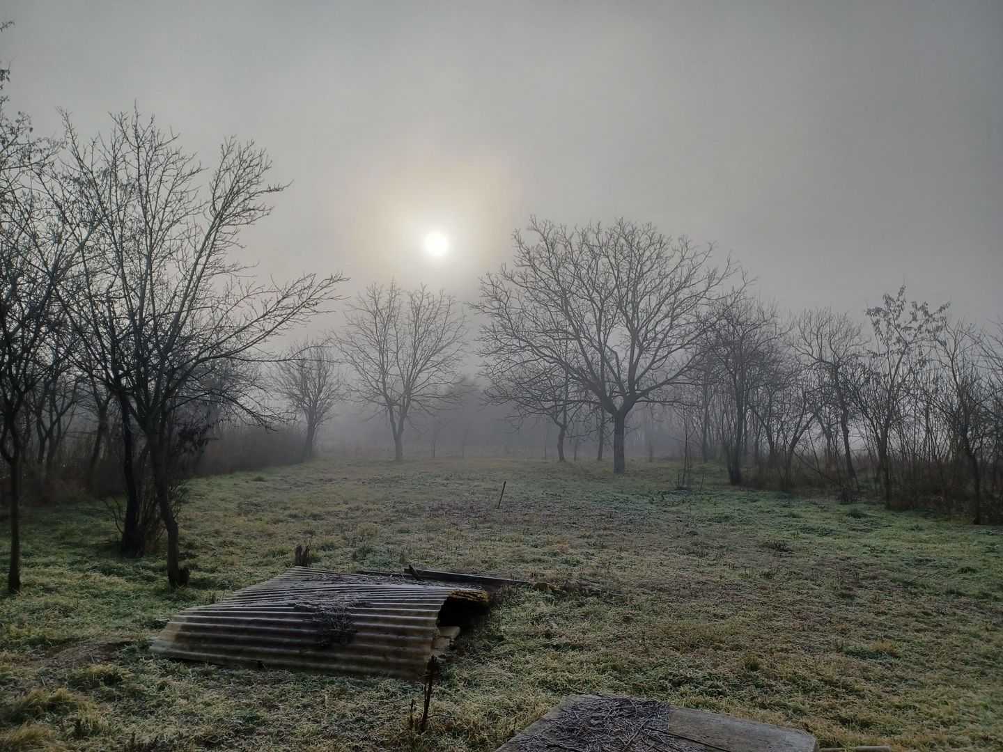 Casă și teren, 1.000 mp, Ciulești. 18.000 E. Comision 0 - Poză 8