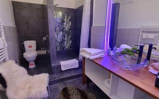 Casa cu 5 camere, 230 mp utili+1000 mp teren,zona strazii Romulus Vuia - Poză 6