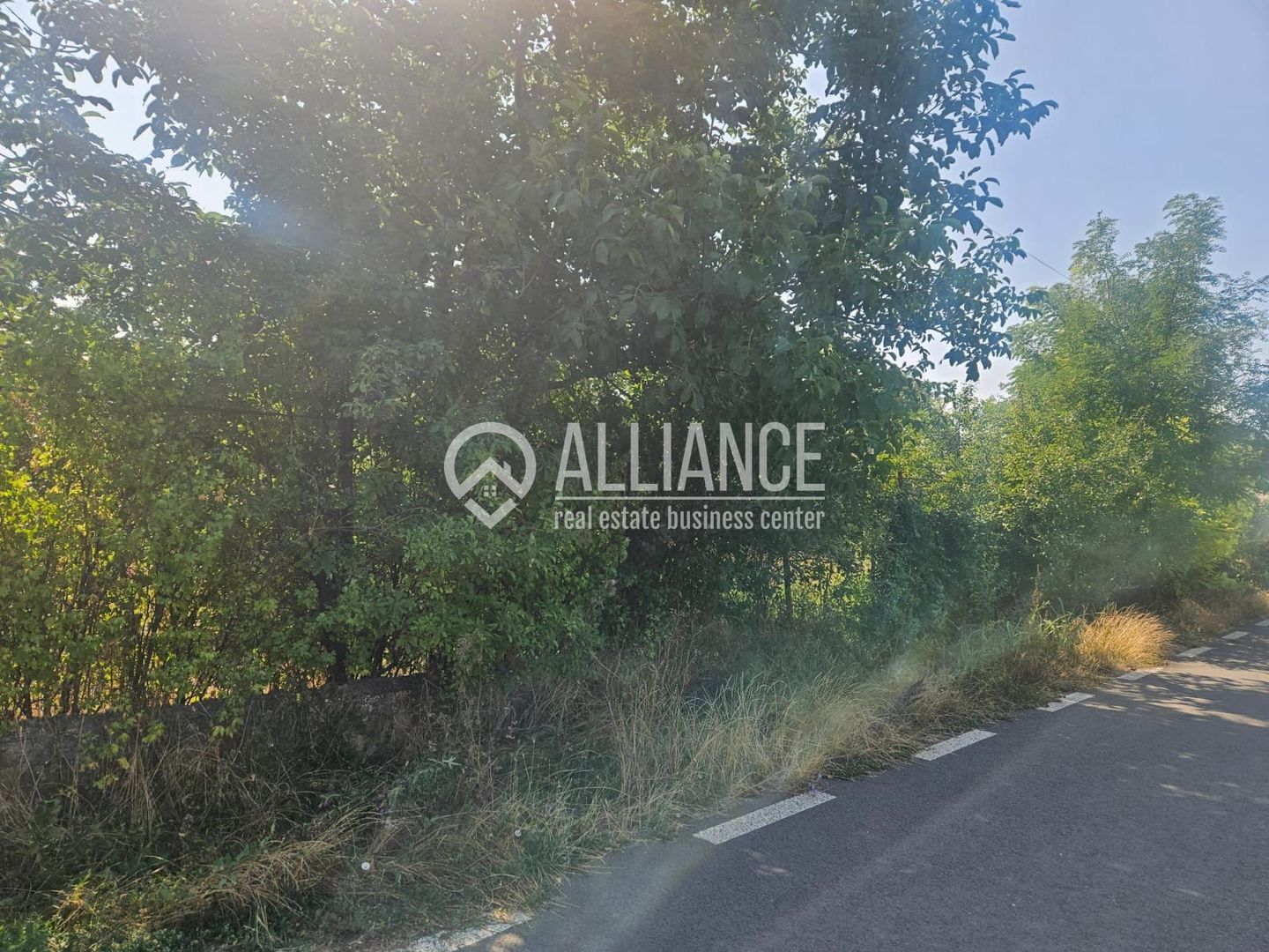 ISTRIA (COD04)-Teren intravilan 1528 mp-Constanta - Poză 6