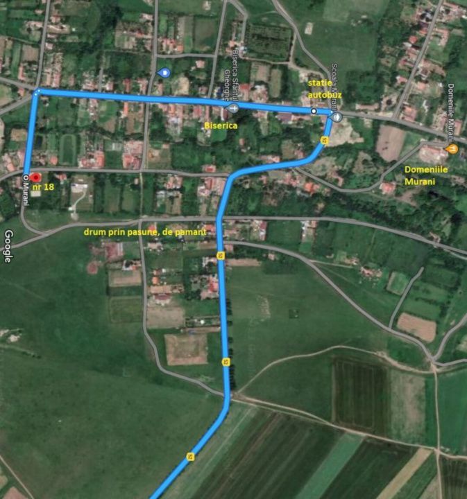 Teren intravilan 1.584 mp | 2 fronturi stradale | Murani | Comision 0% - Poză 14