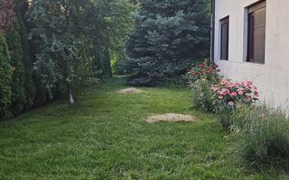 Vila 8 camere Dascalu - Poză 25