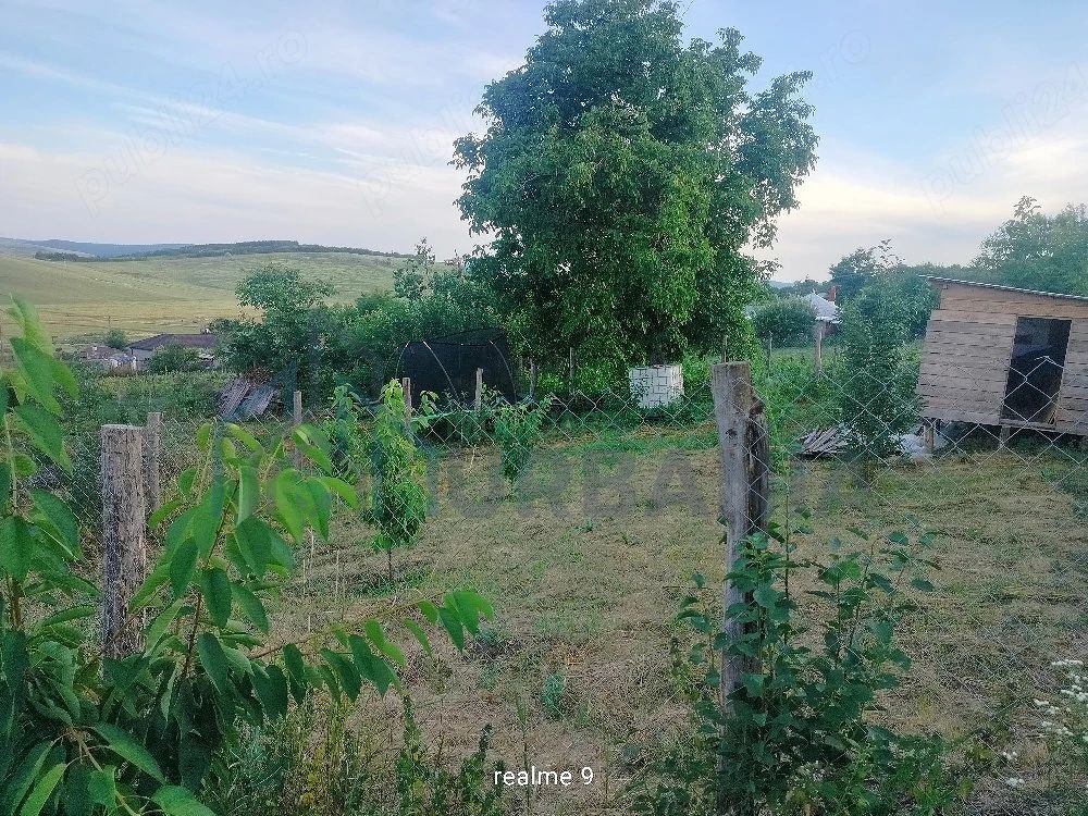 Teren intravilan de 1550 mp în localitatea Buznea, strada Corneliu Coposu - Poză 2