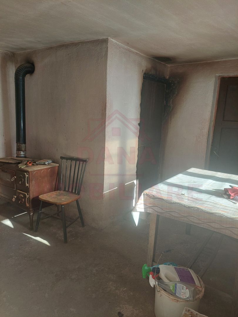 CASĂ PĂLTINIȘ\JUD. CARAȘ-SEVERIN\ COMISION 0% - Poză 18