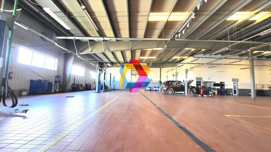 Showroom cu hală de depozitare - 6230 mp #Plus-imo.ro - Poză 7