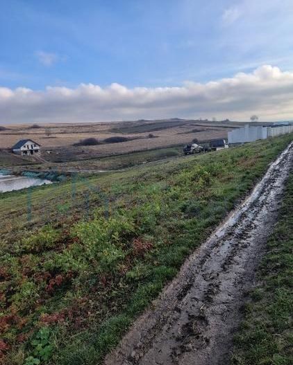 Teren intravilan de 900 mp în comuna Miroslava, sat Proselnici - Poză 4