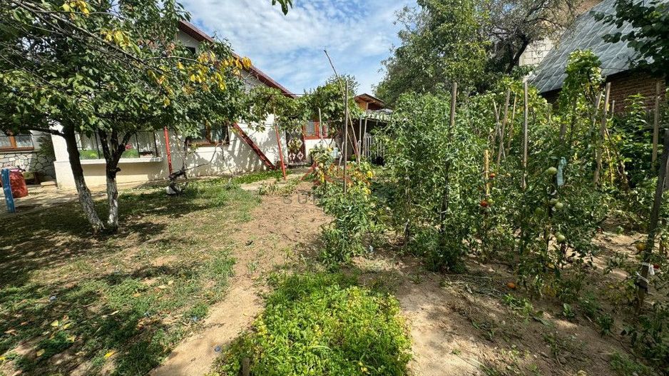 Casa 4 camere, 536 mp teren, toate utilitatile, Urleta, Prahova - Poză 8