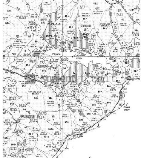 Sapient | Teren forestier și pășune alpină - Maramureș - Schiță 2