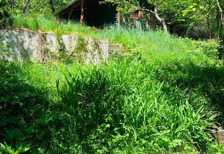 Casa boiereasca cu teren - Poză 4