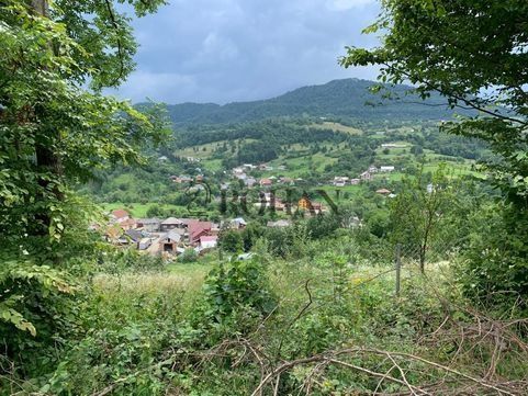 Teren intravilan 5360mp Bistrita Nasaud | Tiha Bârgăului - Poză 4