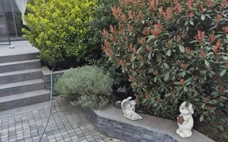 Casa cu 3 apartamente P+3 , zona Barbu Vacarescu - Poză 13