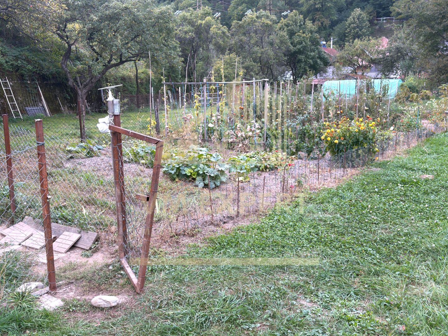 CASĂ 6 CAMERE TEREN 5736 MP LEREȘTI VOINEȘTI ARGEȘ - Poză 22