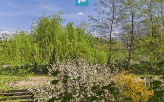 Casă Câmpani, 8000 mp teren, la poalele Apusenilor - Poză 24