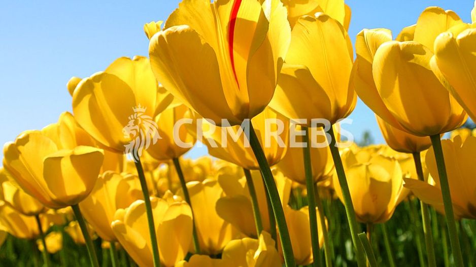 Apartament de vanzare - Poză 2