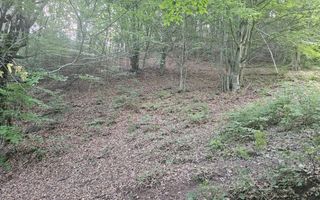 Teren extravilan  cu potential turistic - Brezoi - Poză 4