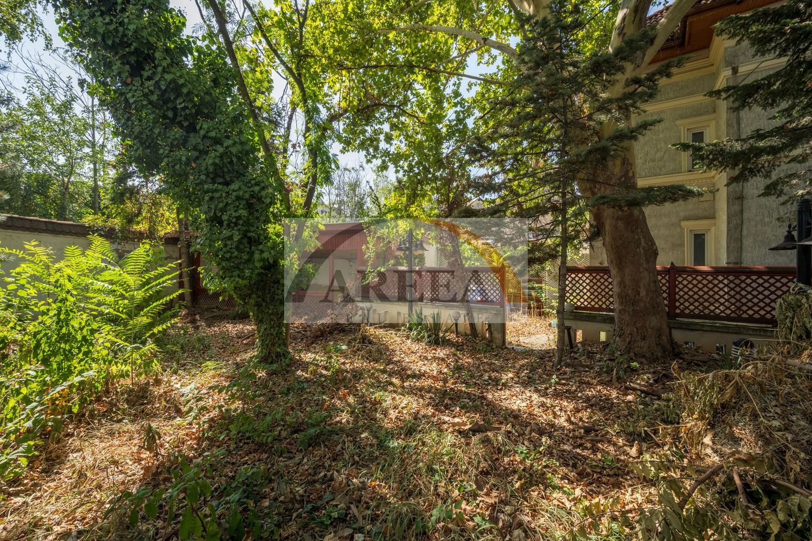 ULTRACENTRAL - Vilă UNICĂ și cu POTENȚIAL uriaș, o poveste de succes - Poză 33